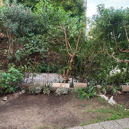 Appartamento Con Giardino A 50 M Dal Mare L'Ile-Rousse  Exterior photo